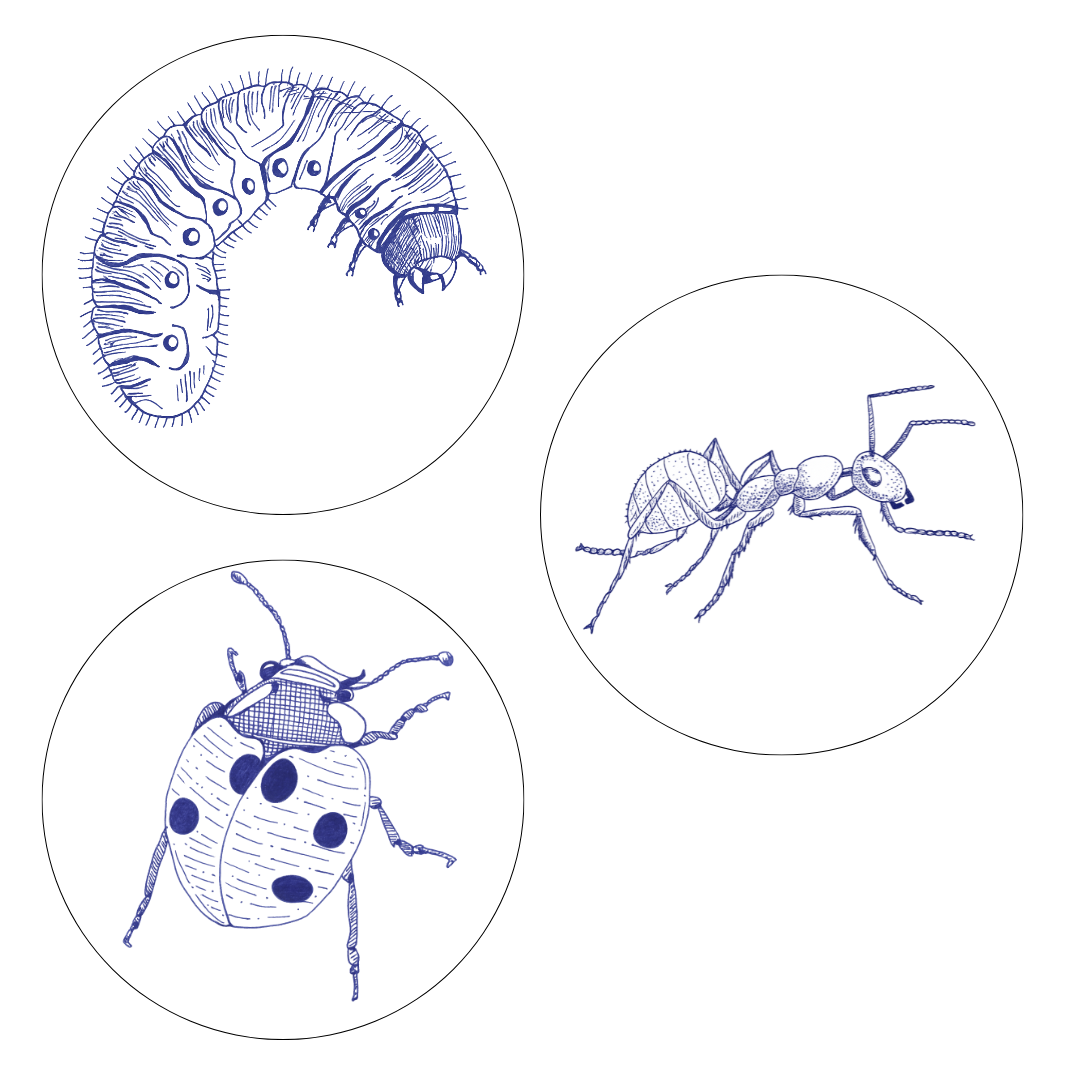 Animales Azul Mix de 3 Stickers